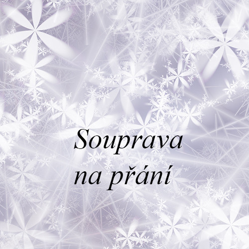 Souprava na přání — foto 1