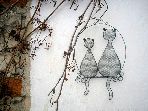 Kočičáci — foto 1