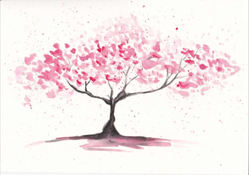 Sakura — foto 1