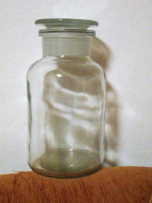 Prachovnice čirá — foto 1
