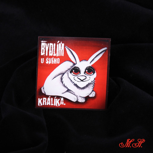Bydlím u svého králíka - magnetka