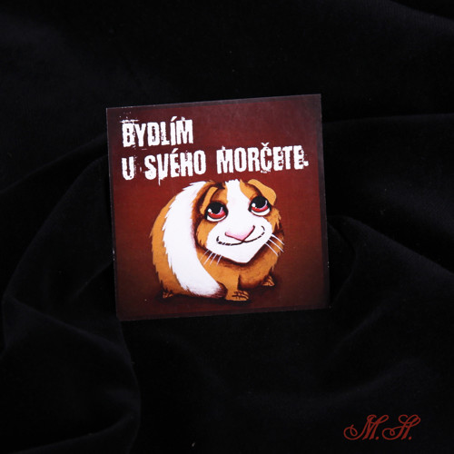 Bydlím u svého morčete - magnetka