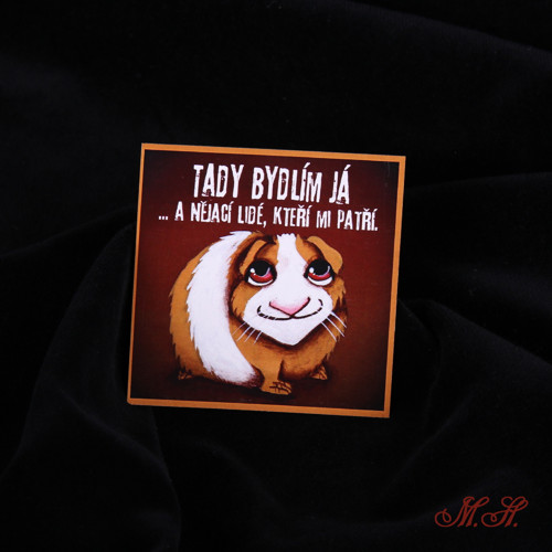 Tady bydlím já... - magnetka - morče — foto 1