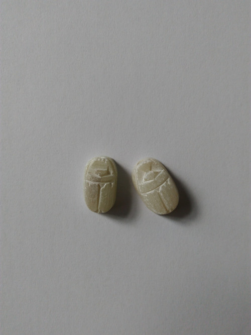 Skarabeus — foto 1