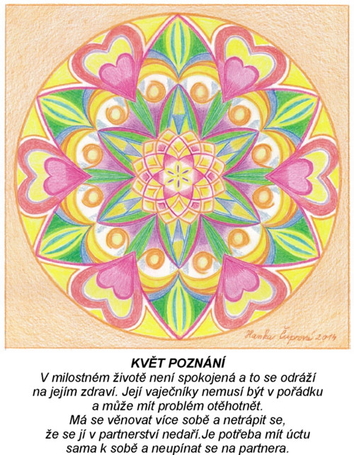 Květ poznání-kartičky 10x13