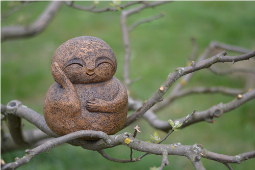 Jizo — foto 1