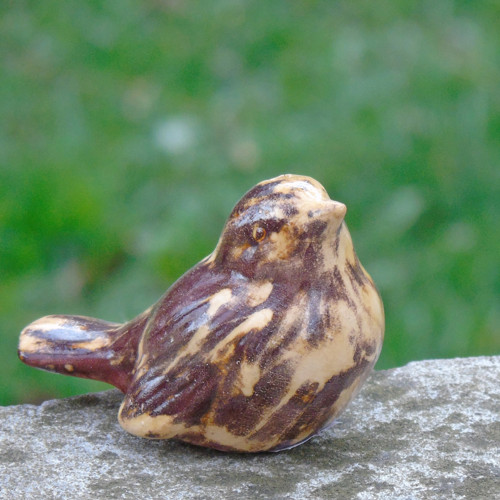 Ptáček — foto 1