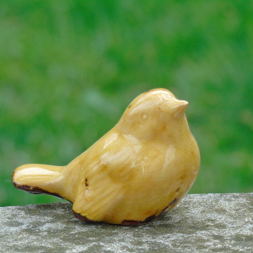 Ptáček — foto 1