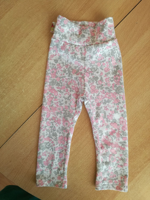 Legíny