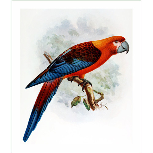 Látkový panel - papoušek (11)