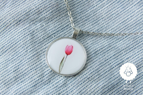 Tulipán