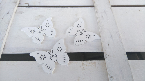 Motýlek