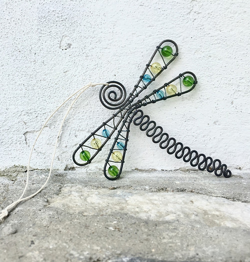 Odonata třpytná :) — foto 1
