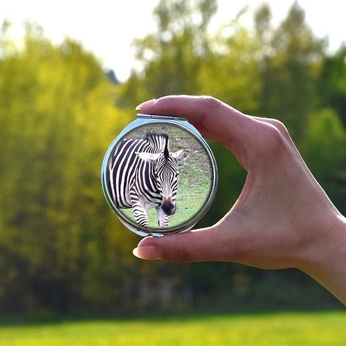 Zrcátko Zebra