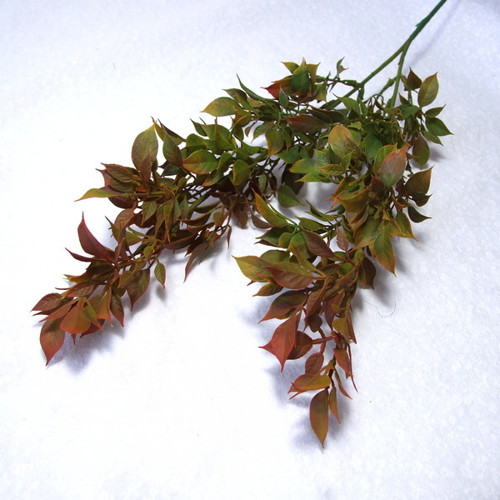 Ruscus - umělý keřík — foto 1