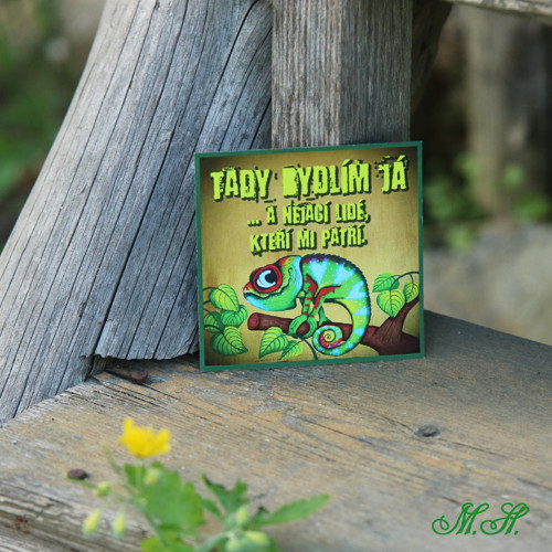 Tady bydlím já... - magnetka - chameleon