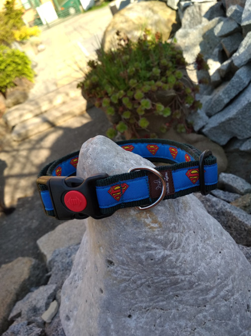 Obojek Superman — foto 1