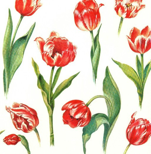 Ubrousek - tulipány — foto 1