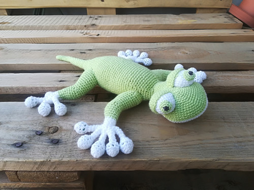 Gekon / ještěrka — foto 1