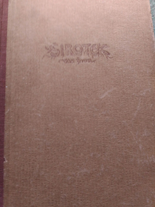 K. V. Rais - Sirotek — foto 1