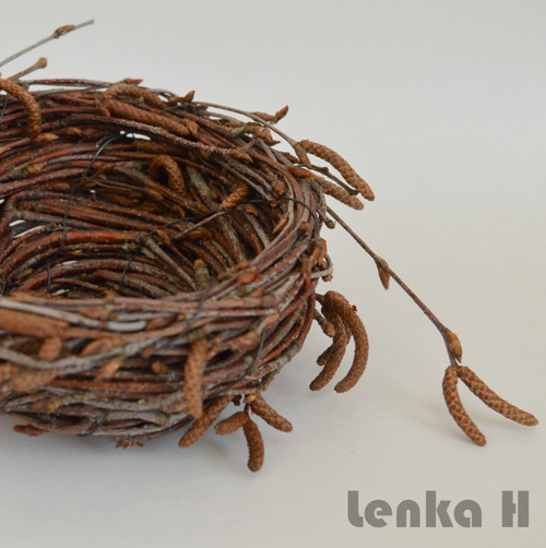 Hnízdečko — foto 1