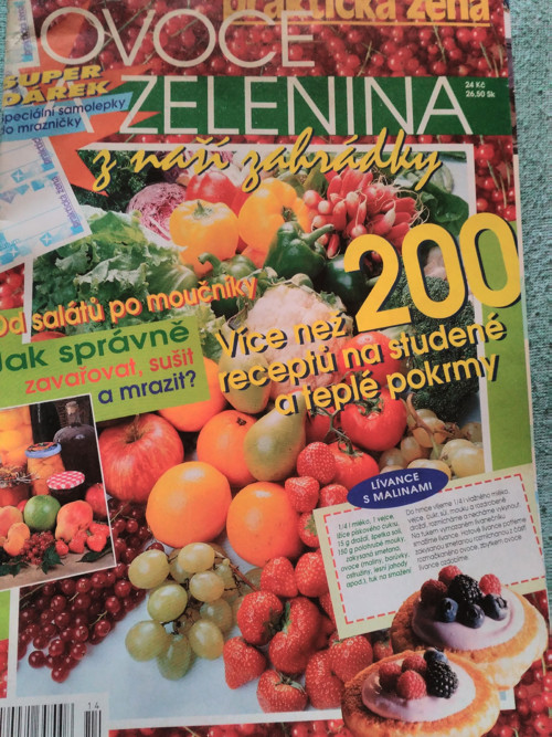 Praktická žena — foto 1