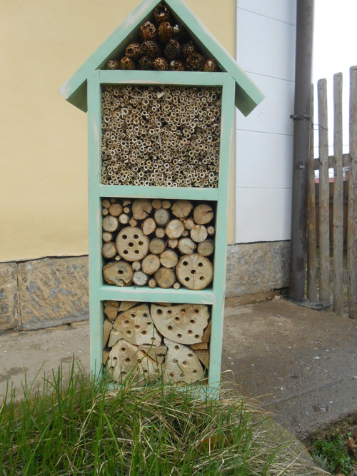 Hmyzí hotel-zelený dlouhán — foto 1