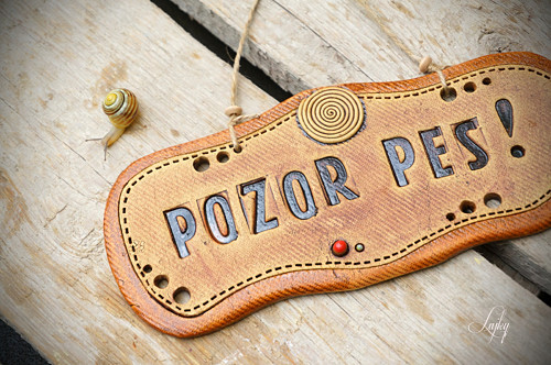 Pozor pes — foto 1
