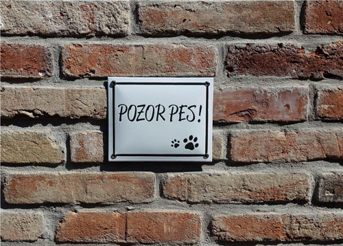 POZOR PES (bílé pozadí, černý nápis)