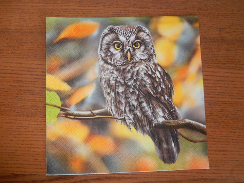 Ubrousek na decoupage - sova foto