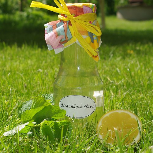 Meduňková šťáva 300ml - posilující — foto 1