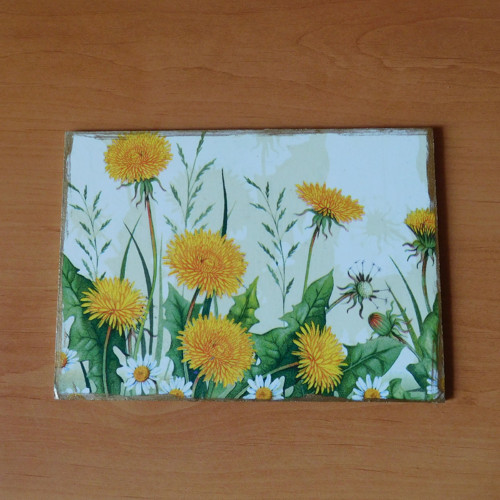 Obrázek s pampeliškami