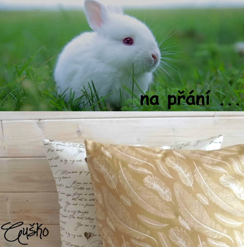 Sada polštářků + běhoun na přání — foto 1