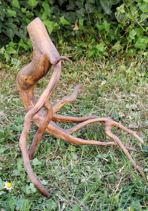 Samorost - kořeny — foto 1