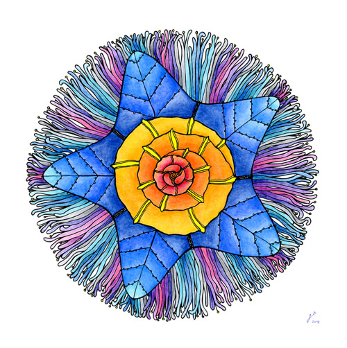 Mandala mořská