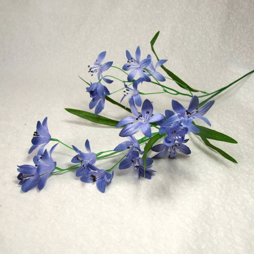 Luční zvonky — foto 1