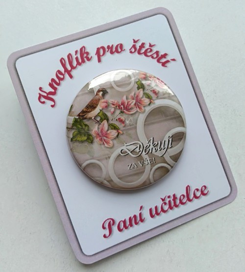 Knoflík pro štěstí No.59 - paní učitelce