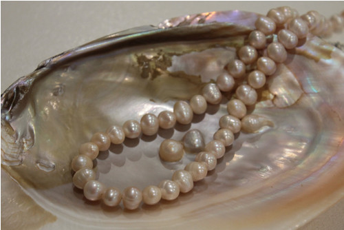 Pearls — foto 1