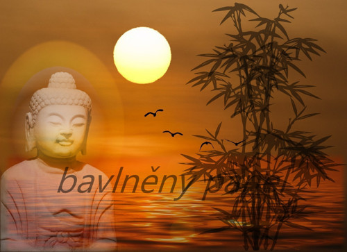 Bavlněný panel BUD 13