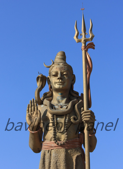 Bavlněný panel BUD 55 — foto 1