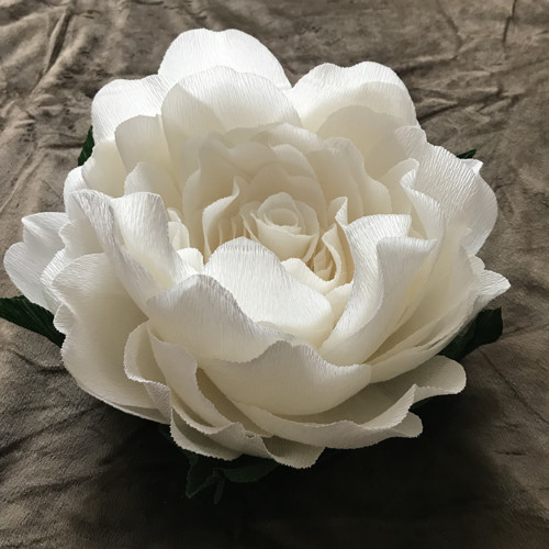 Pivoňka 20 cm — foto 1