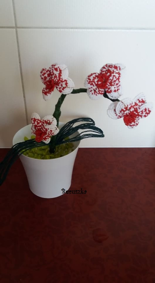 Orchidea z korálků - bílo-červená — foto 1