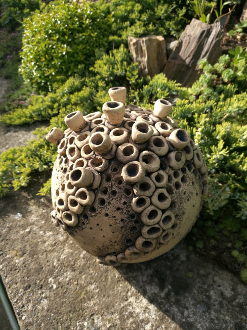Koule pučící — foto 1