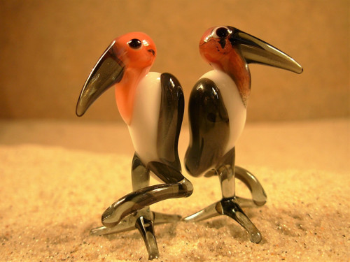 Marabu — foto 1