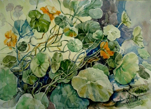 Lichořeřišnice - akvarel, papír 29x40 cm — foto 1