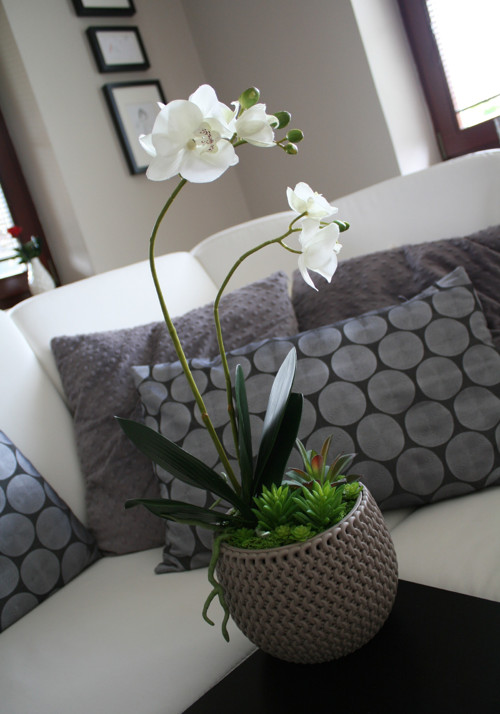 Pletený obal s orchidejí a sukulenty — foto 1