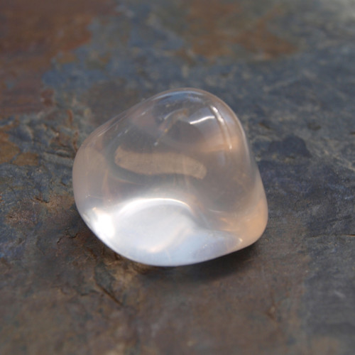 Girasol, valoun — foto 1