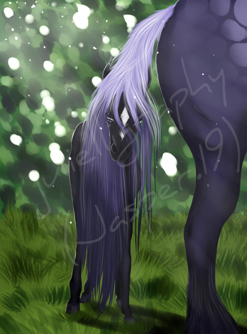 New Foal