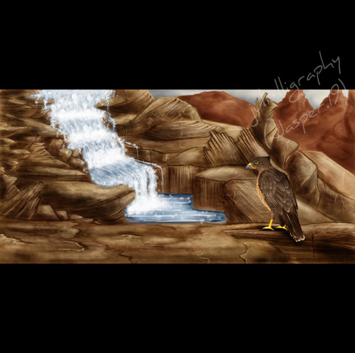 Hawk
