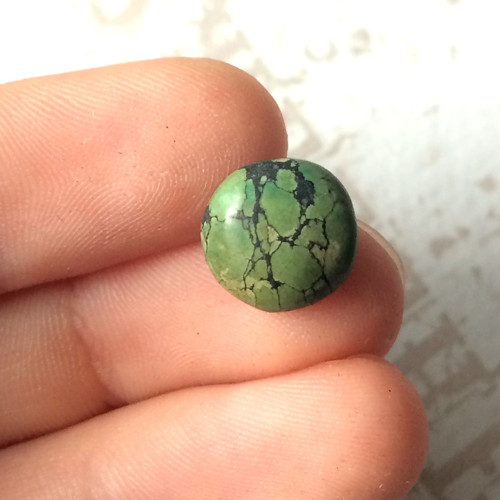 Tyrkys kabošon kruh (10x4mm T2)